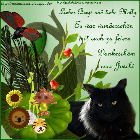 An den Beitrag angehängtes Bild: http://www.waldkatzenwelt.de/gb_bilder/benmo_joschi_danke